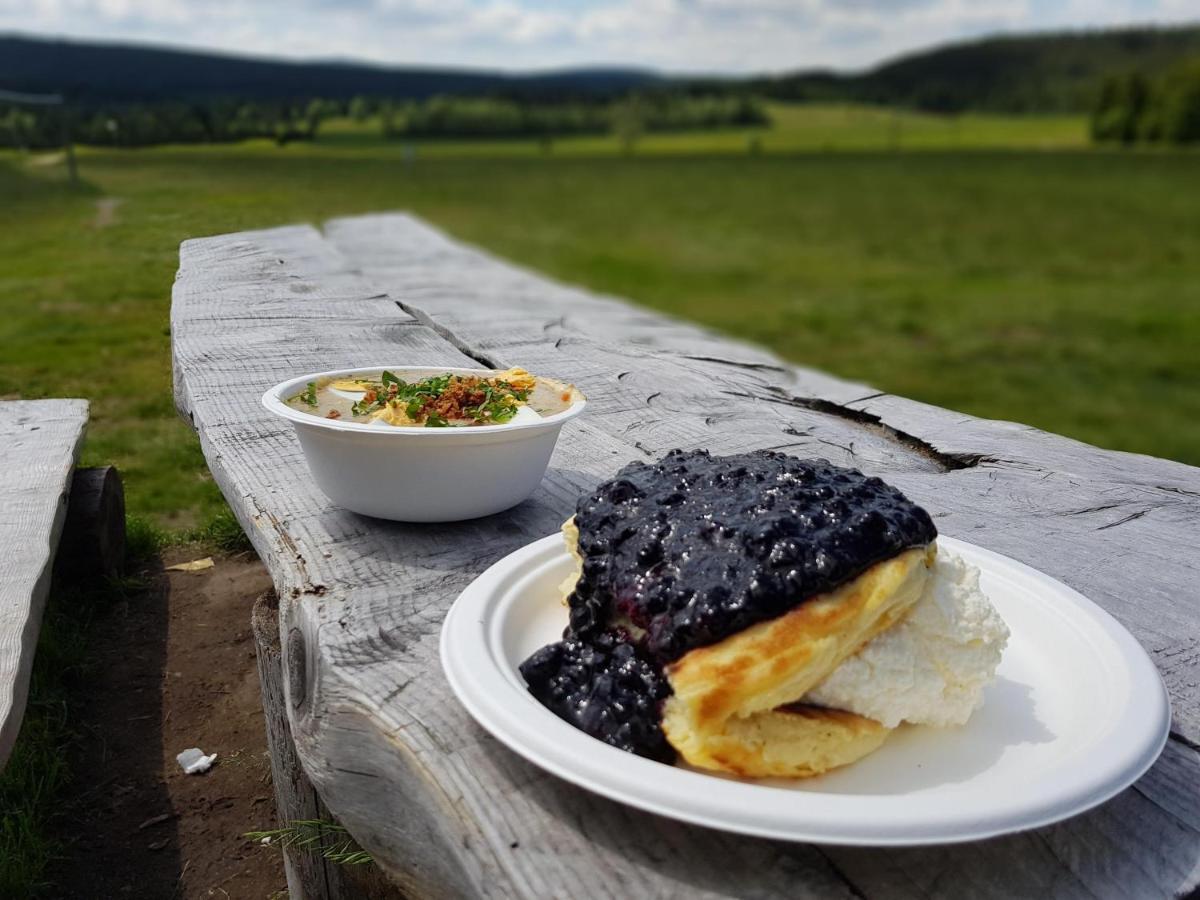 Enjoyharrachov - Atraktivni Slunne Studio Certovka V Centru Harrachova S Garazovym Parkovanim, Wifi-Wlan, Sat, Herni Konzoli, Netflix Zdarma A Nejkrasnejsim Vyhledem Na Certovu Horu S Arealem Skokanskych Mustku A Sjezdovku Exterior foto