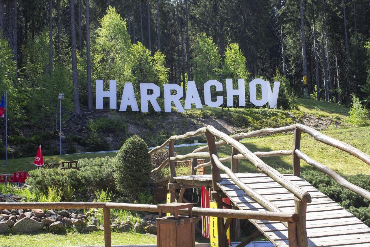Enjoyharrachov - Atraktivni Slunne Studio Certovka V Centru Harrachova S Garazovym Parkovanim, Wifi-Wlan, Sat, Herni Konzoli, Netflix Zdarma A Nejkrasnejsim Vyhledem Na Certovu Horu S Arealem Skokanskych Mustku A Sjezdovku Exterior foto